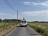 Zandlemig Vlaanderen